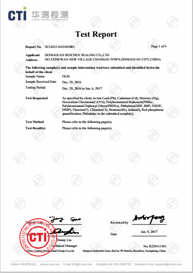 China Dongguan Ruichen Sealing Co., Ltd. Certificaciones